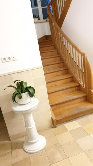 Ferienwohnung In Der Villa Sana Mit Grossem Garten Rofingen Esterno foto
