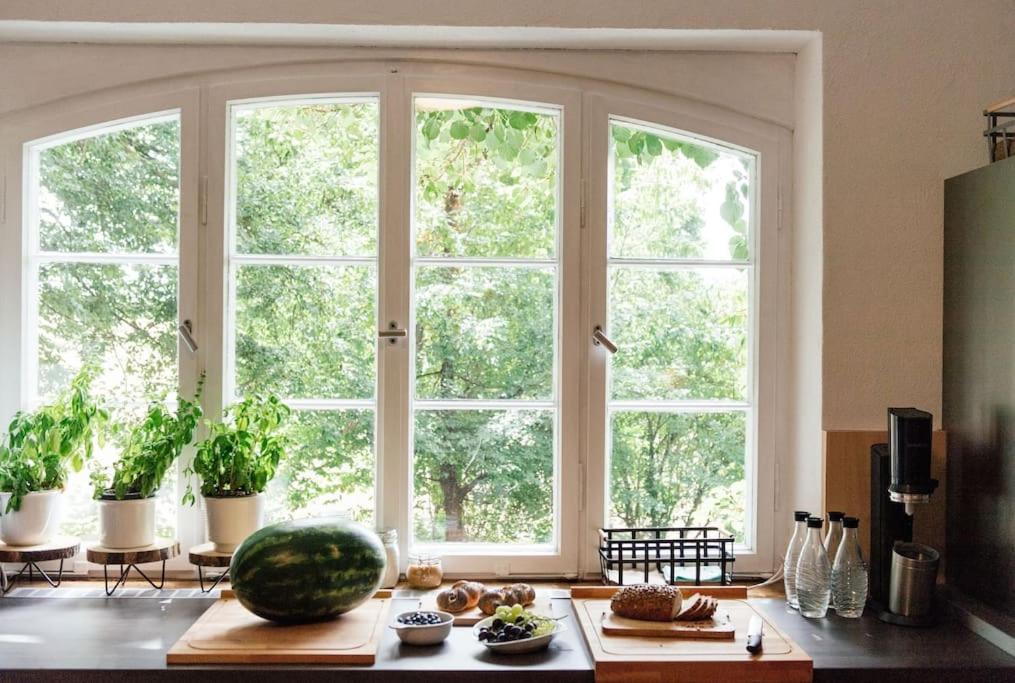 Ferienwohnung In Der Villa Sana Mit Grossem Garten Rofingen Esterno foto
