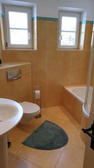 Ferienwohnung In Der Villa Sana Mit Grossem Garten Rofingen Esterno foto